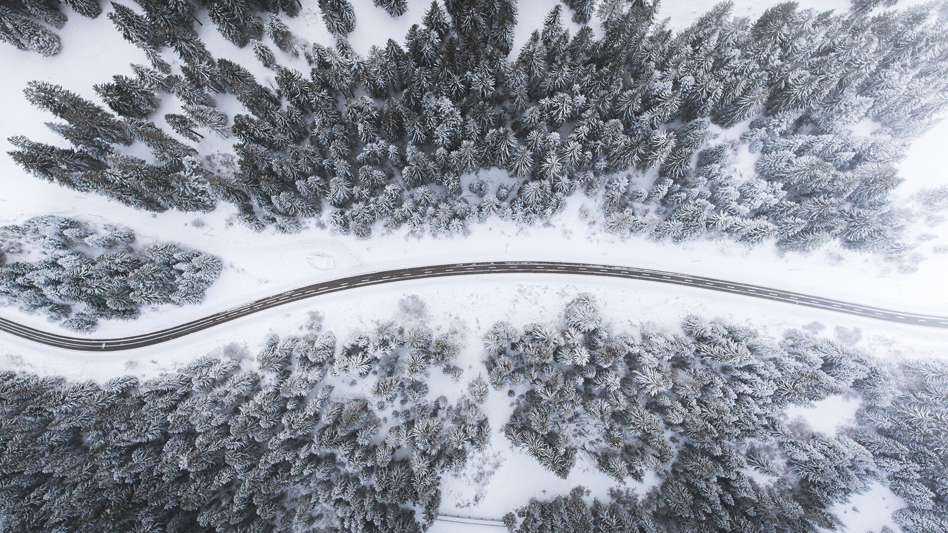 photography, Trees, Snow, Road Wallpaper