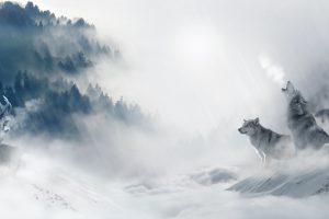 forest, Wolf, Winter, Snow, Cold, Artwork, Animals, Nature, Deer, Mist