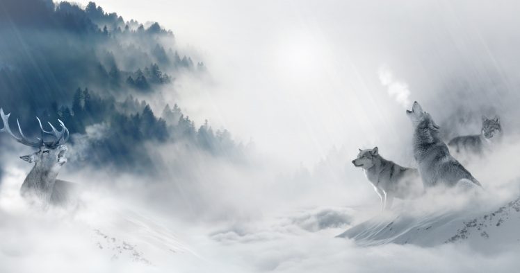 forest, Wolf, Winter, Snow, Cold, Artwork, Animals, Nature, Deer, Mist HD Wallpaper Desktop Background