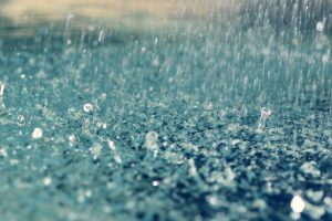 rain, Water drops, Water, Liquid, Macro