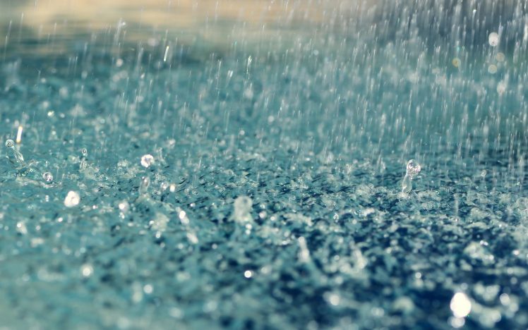 rain, Water drops, Water, Liquid, Macro HD Wallpaper Desktop Background