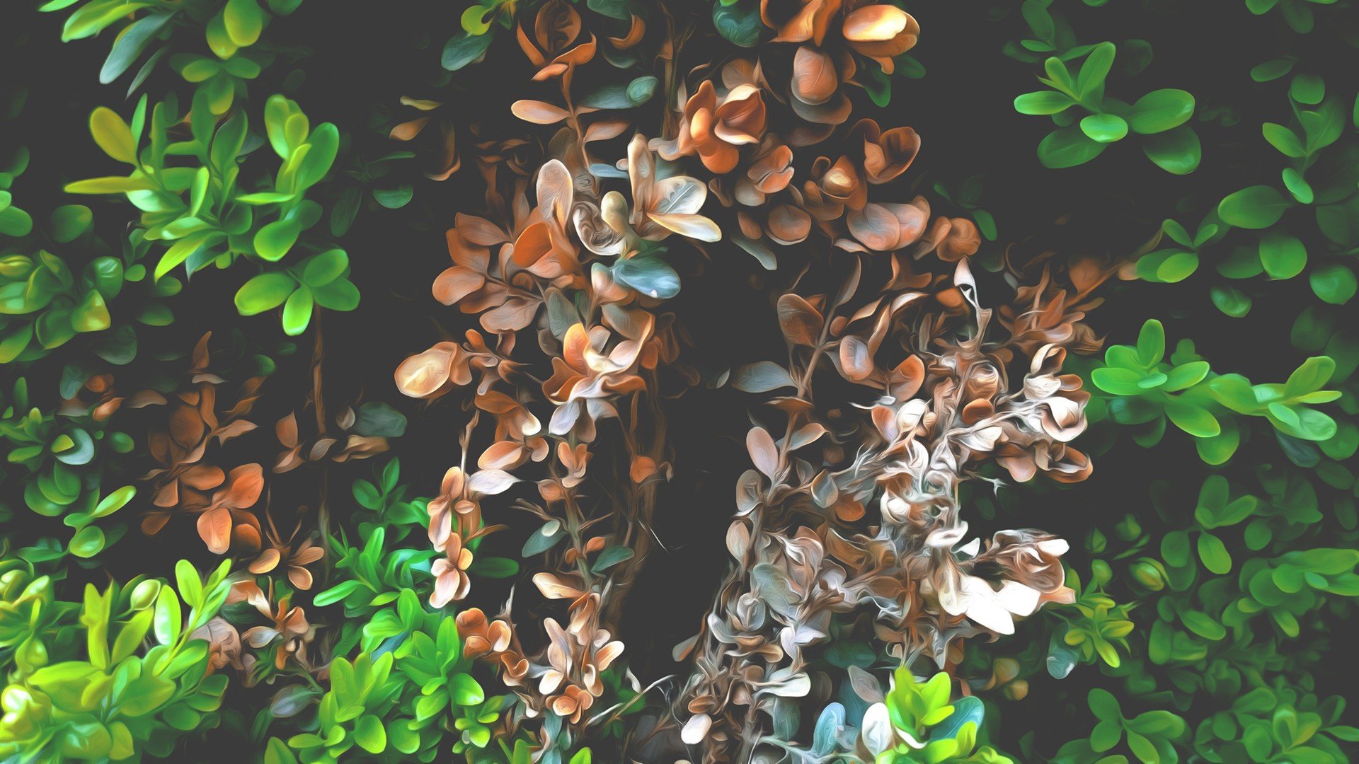 nature, Tea plant, Plants, Leaves Wallpaper