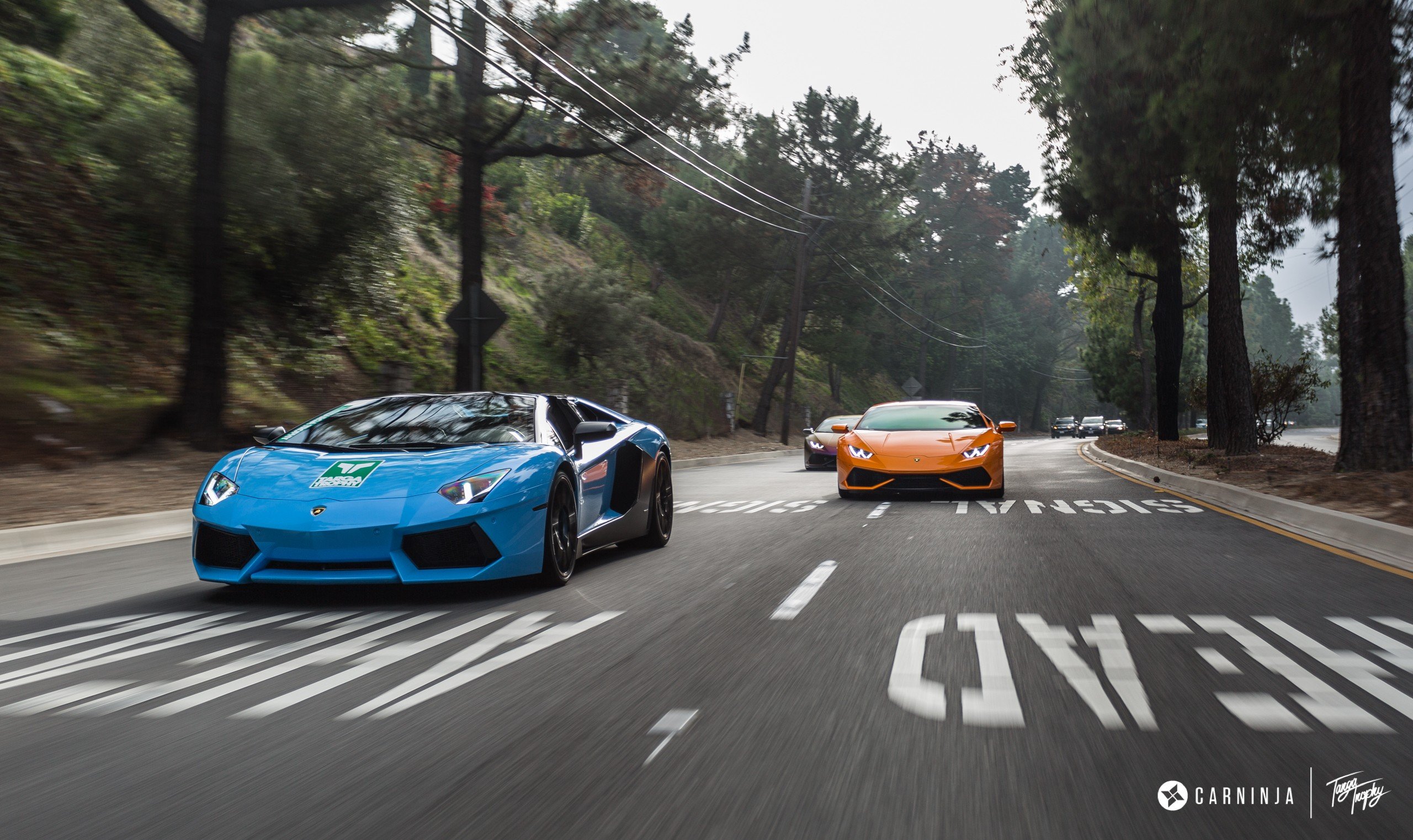 Carninja, Low, Street, Lamborghini Aventador, Lamborghini Huracán LP610 4 Wallpaper