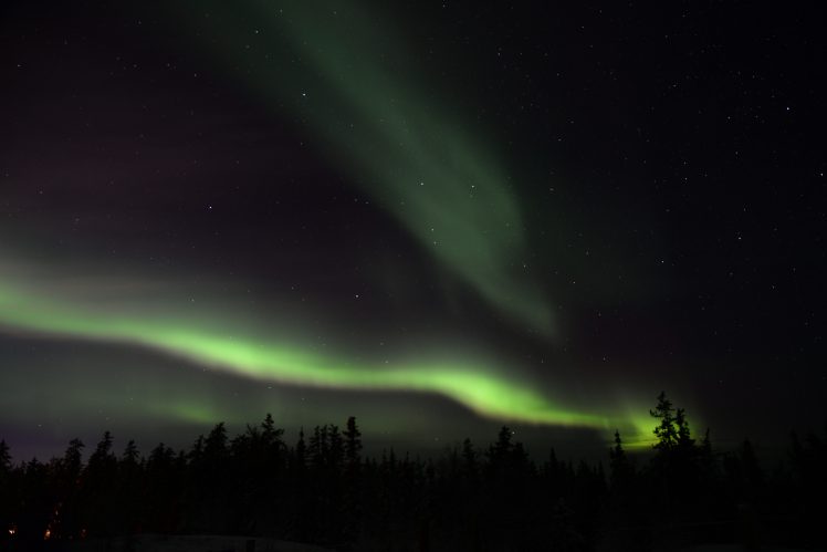 nature, Landscape, Trees, Sky, Stars, Aurora  borealis HD Wallpaper Desktop Background