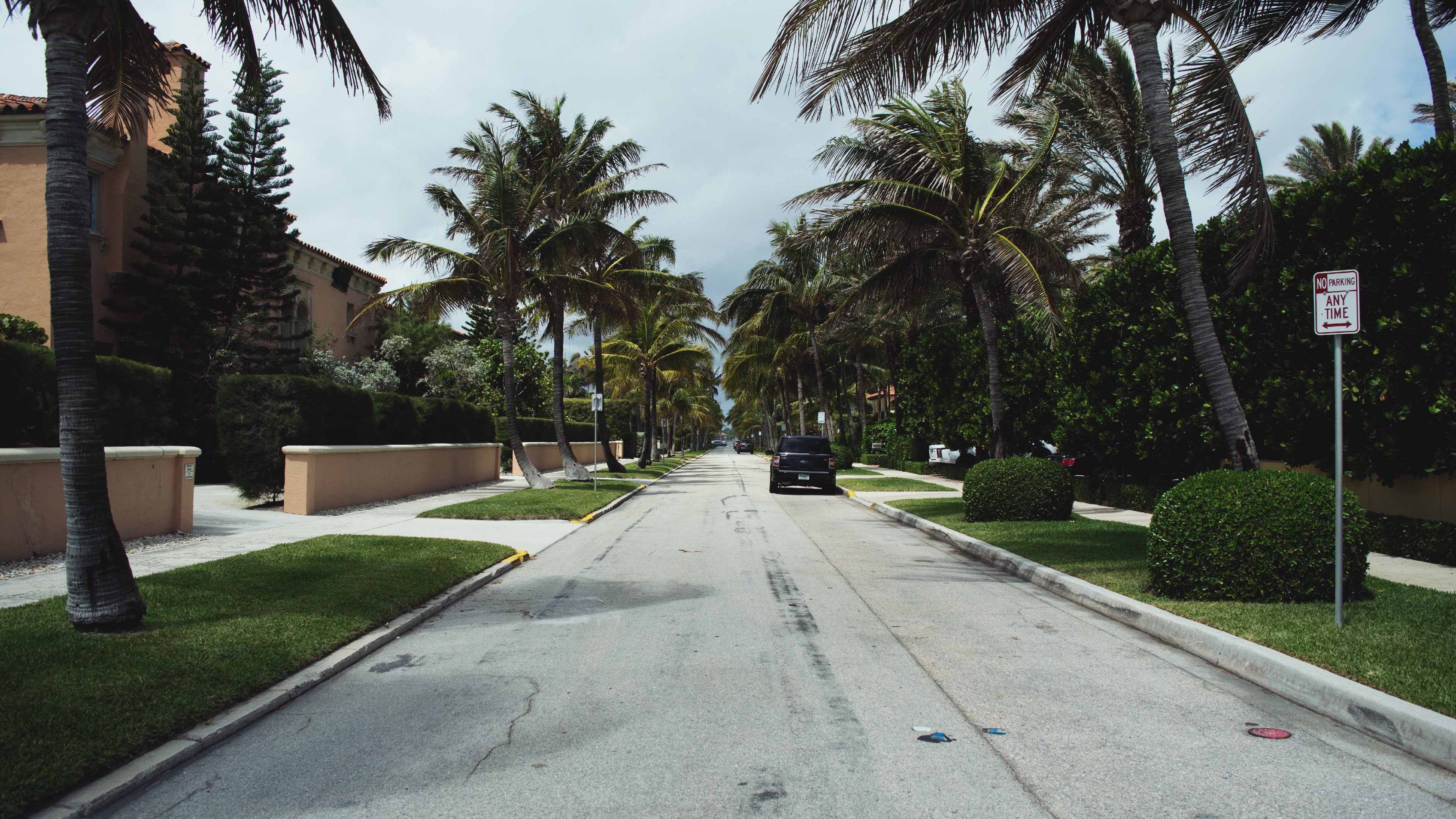 road, Palm trees Wallpaper