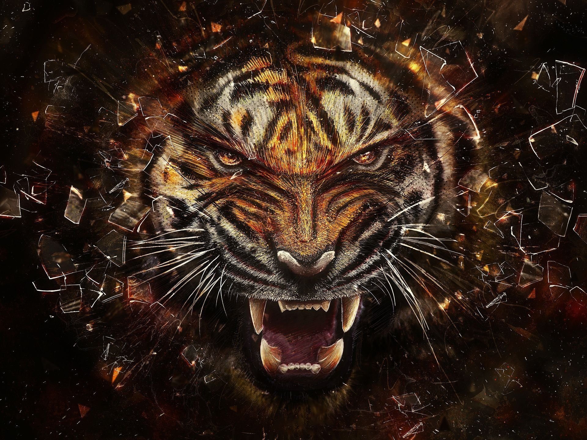 tiger, Animals, Broken glass Wallpaper