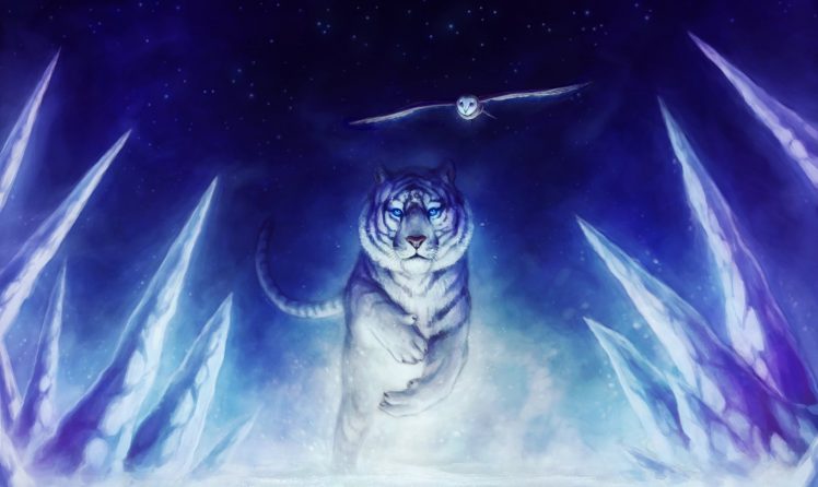 tiger, Owl HD Wallpaper Desktop Background