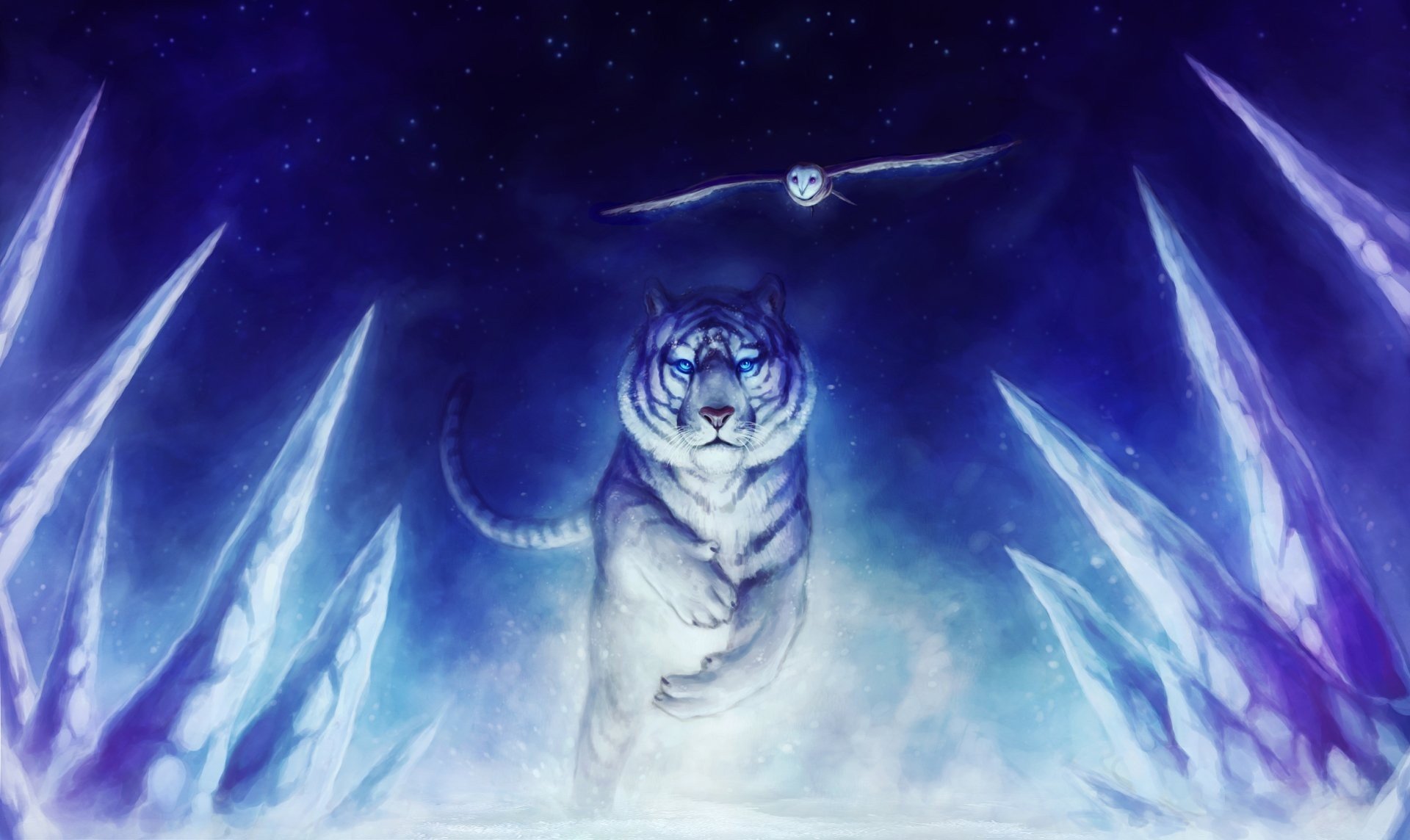 tiger, Owl Wallpaper