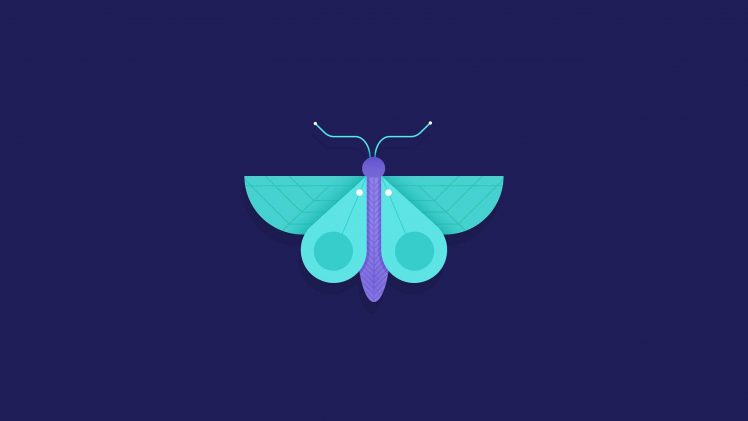 butterfly, Geometry, Blue background HD Wallpaper Desktop Background