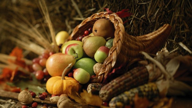 Cornucopia, Food, Apples, Pumpkin, Corn, Wheat HD Wallpaper Desktop Background