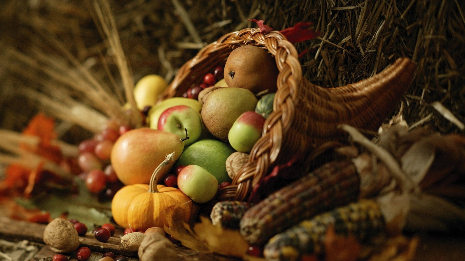 Cornucopia, Food, Apples, Pumpkin, Corn, Wheat Wallpaper