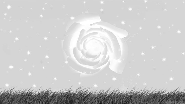 vortex, Grass, Sky, Stars, Monochrome HD Wallpaper Desktop Background