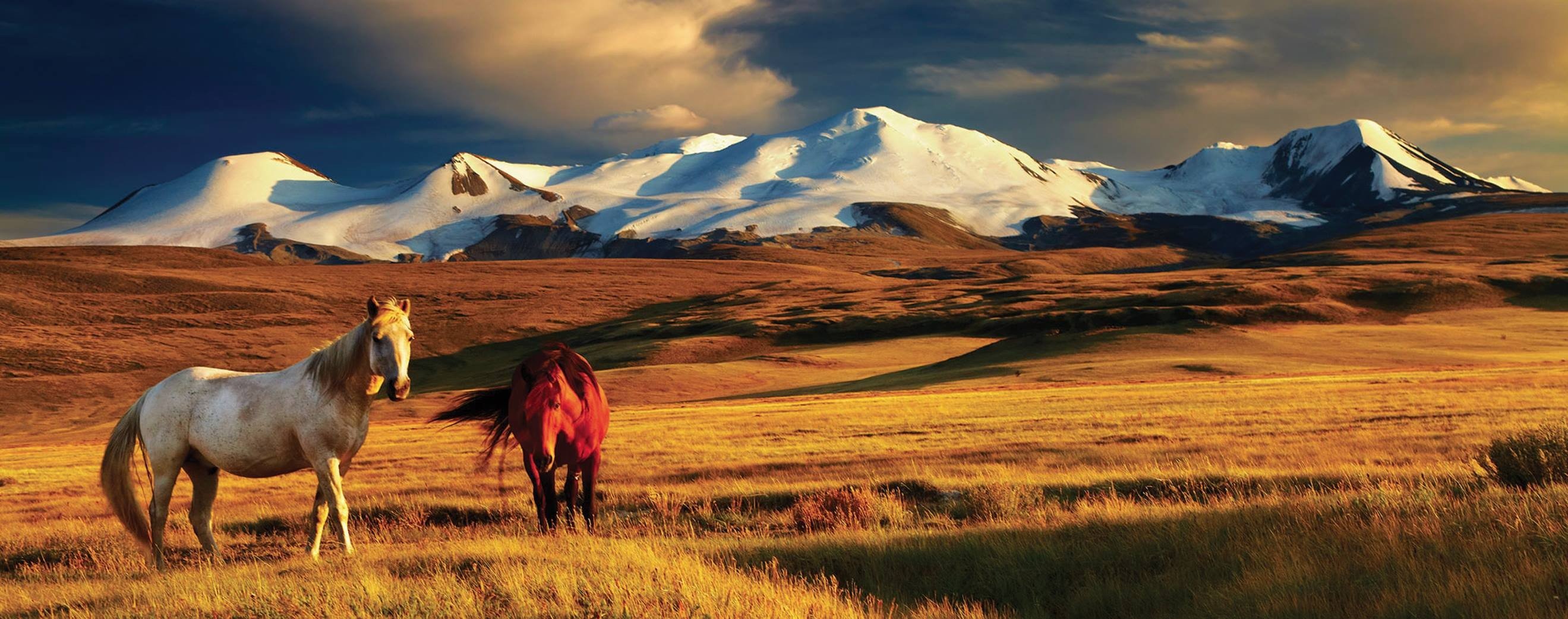 Mongolia, ötüken, Horse, Mountains Wallpaper