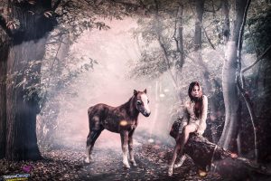 women, Horse, Landscape, Photo manipulation