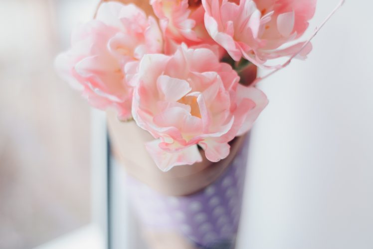 white flowers, Pink, Herbarium, Flowers HD Wallpaper Desktop Background