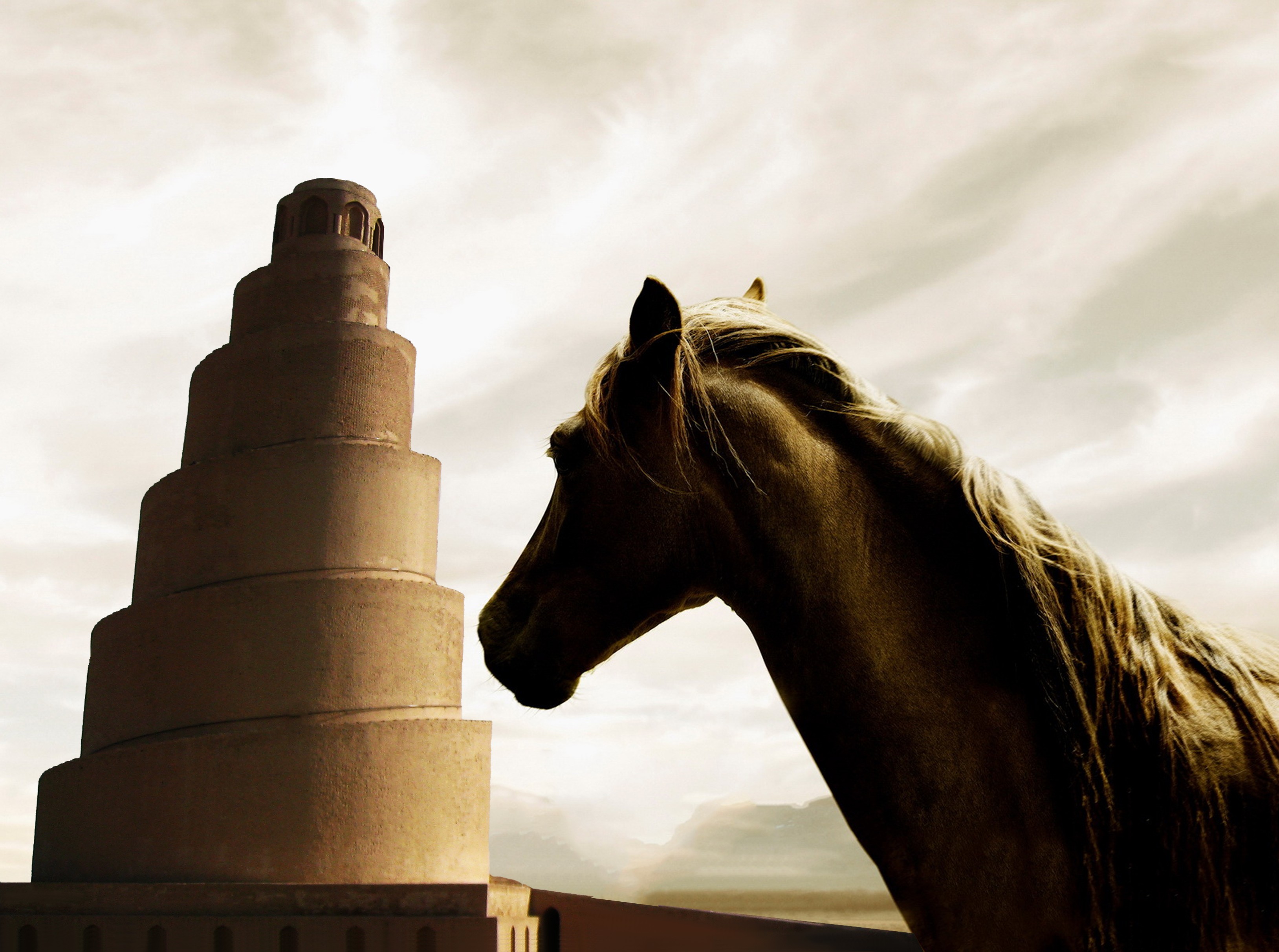 Arabic, Iraq, Samaraa, Islamic architecture, Horse Wallpaper