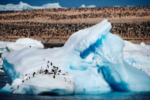 JenFu Cheng, Arctic, Penguins, Animals, 500px, Nature, Sea, Iceberg