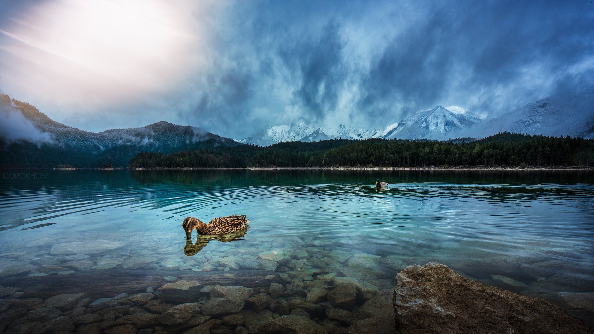 Ivan Gorokhov, Nature, Duck, Animals, Water, Mountains, 500px Wallpaper