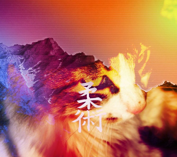 cat, Mountains, Japan, Vaporwave HD Wallpaper Desktop Background
