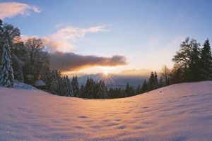 sunset, Winter, Snow, Trees