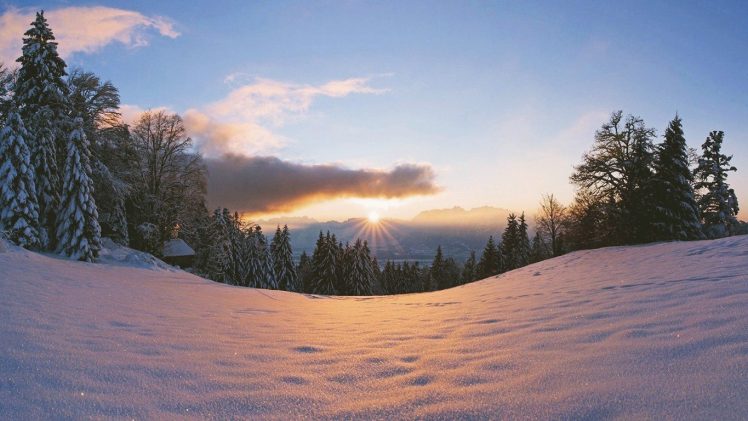 sunset, Winter, Snow, Trees HD Wallpaper Desktop Background