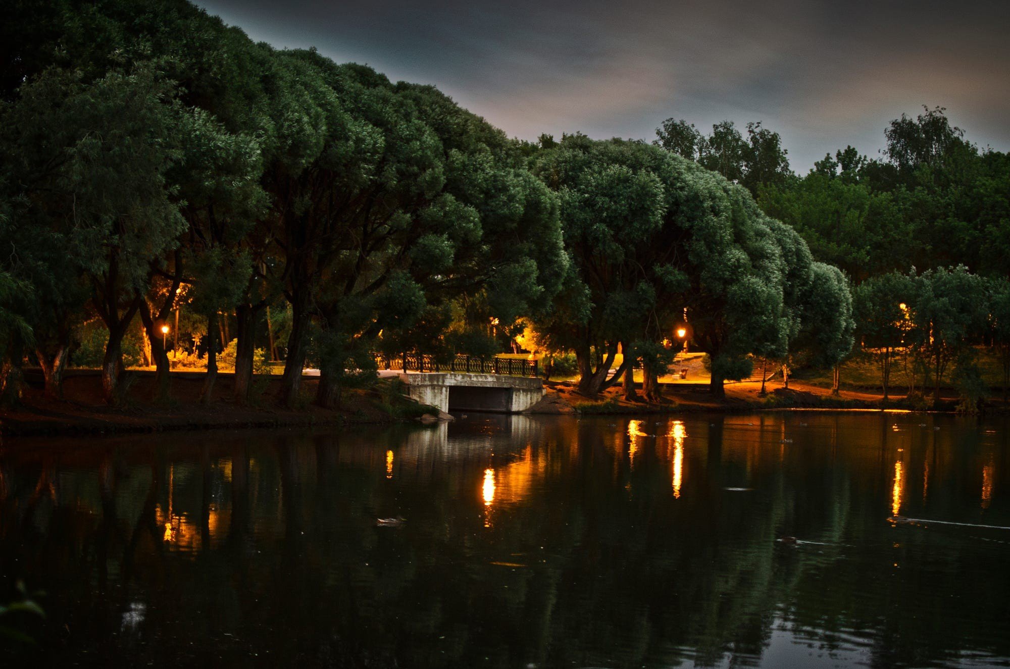 nature, Trees, Reflection, Lights Wallpaper