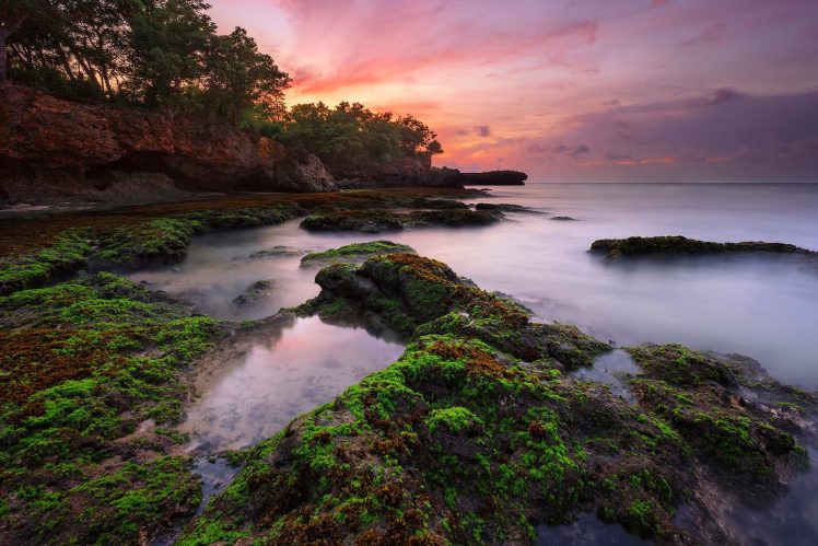 nature, Landscape, Long exposure, Trees, Water, Moss, Clouds, Sunset HD Wallpaper Desktop Background