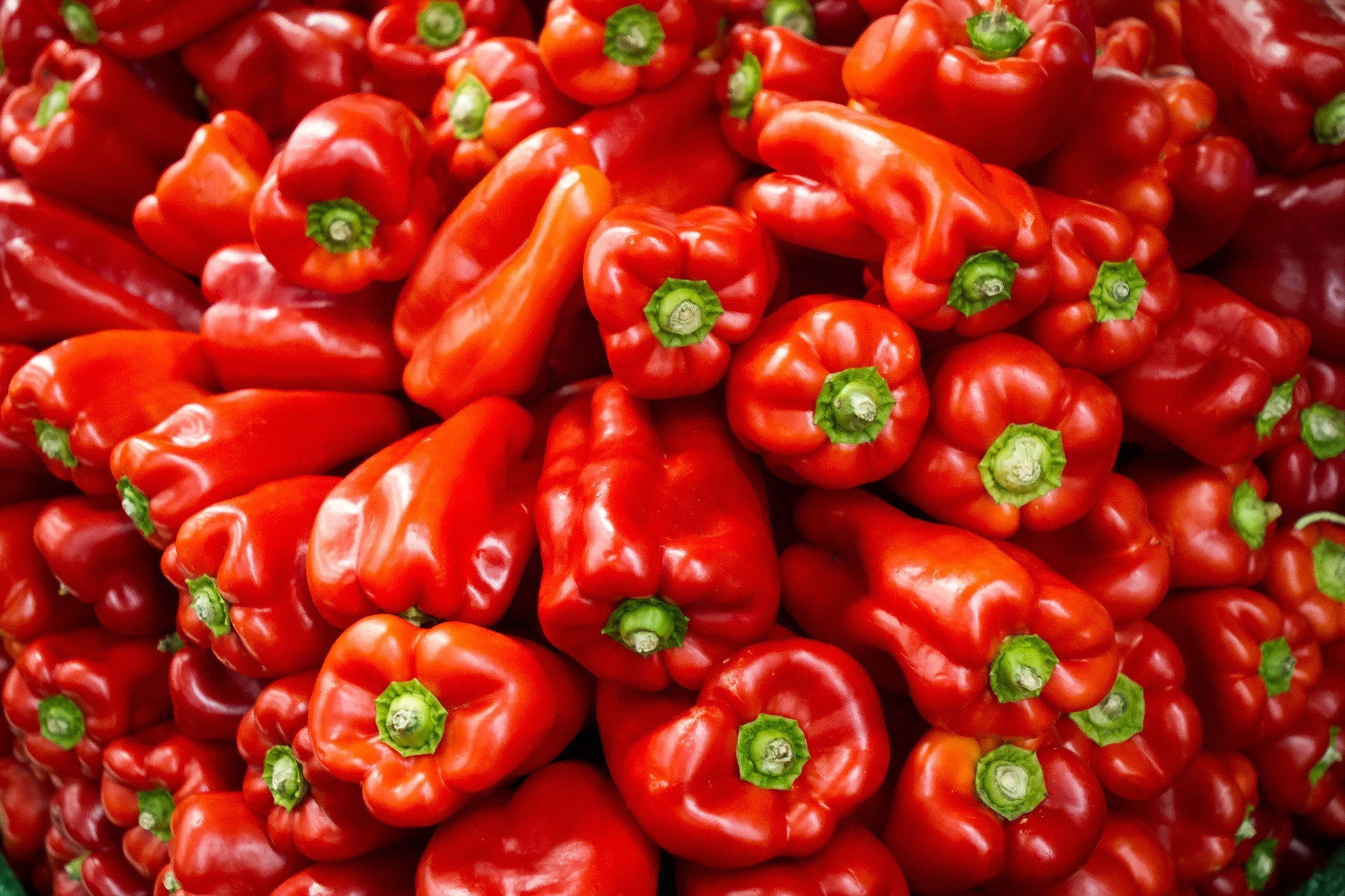 red, Food, Vegetables, Peppers Wallpapers HD / Desktop and Mobile Backgroun...