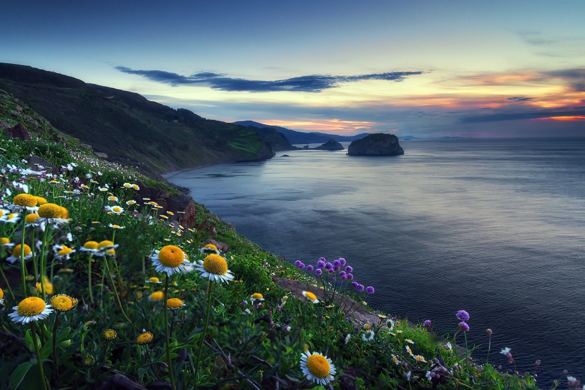 поляна море берег цветы бесплатно