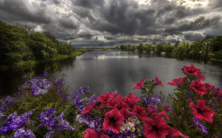 flowers, River, Trees, Sky, Clouds HD Wallpaper Desktop Background