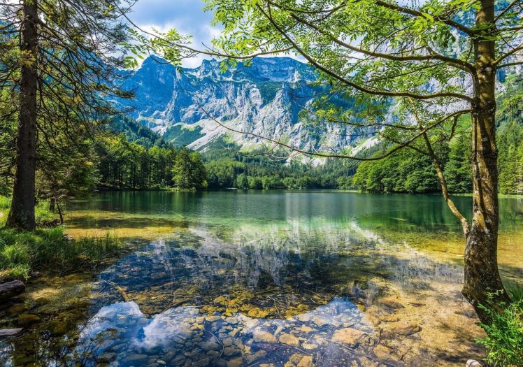 landscape, Mountains, Forest, River, Spring HD Wallpaper Desktop Background