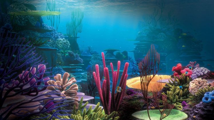 water, Underwater, Sea, Coral, Colorful HD Wallpaper Desktop Background