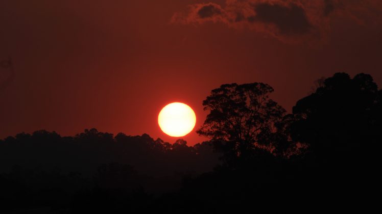 sunset, Taboao da serra, Sun, Trees HD Wallpaper Desktop Background