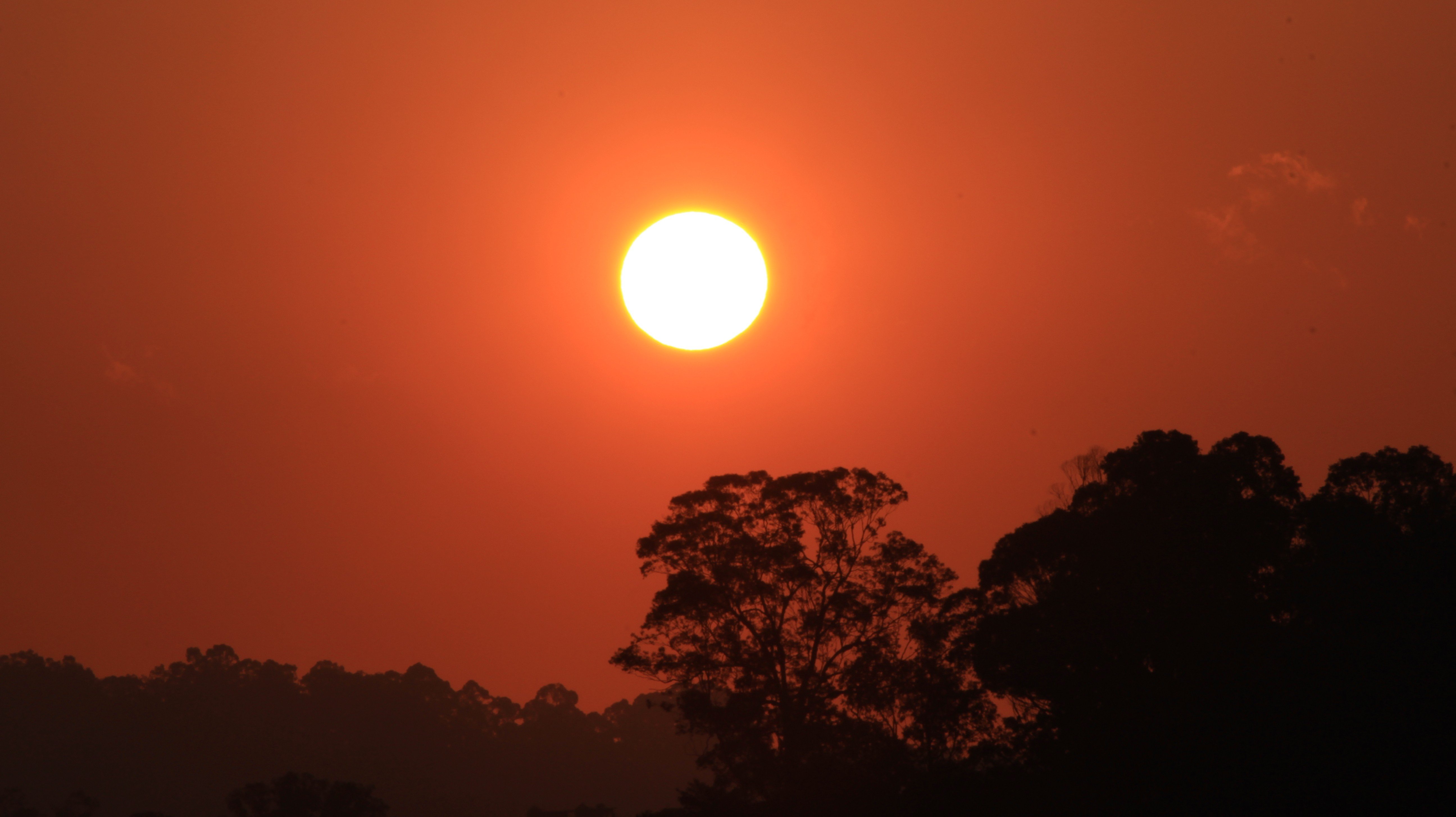 sunset, Taboao da serra, Sun, Trees Wallpaper