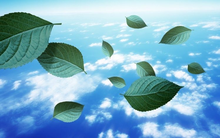 leaves, Floating, Sky, Clouds, Digital art, Photo manipulation HD Wallpaper Desktop Background