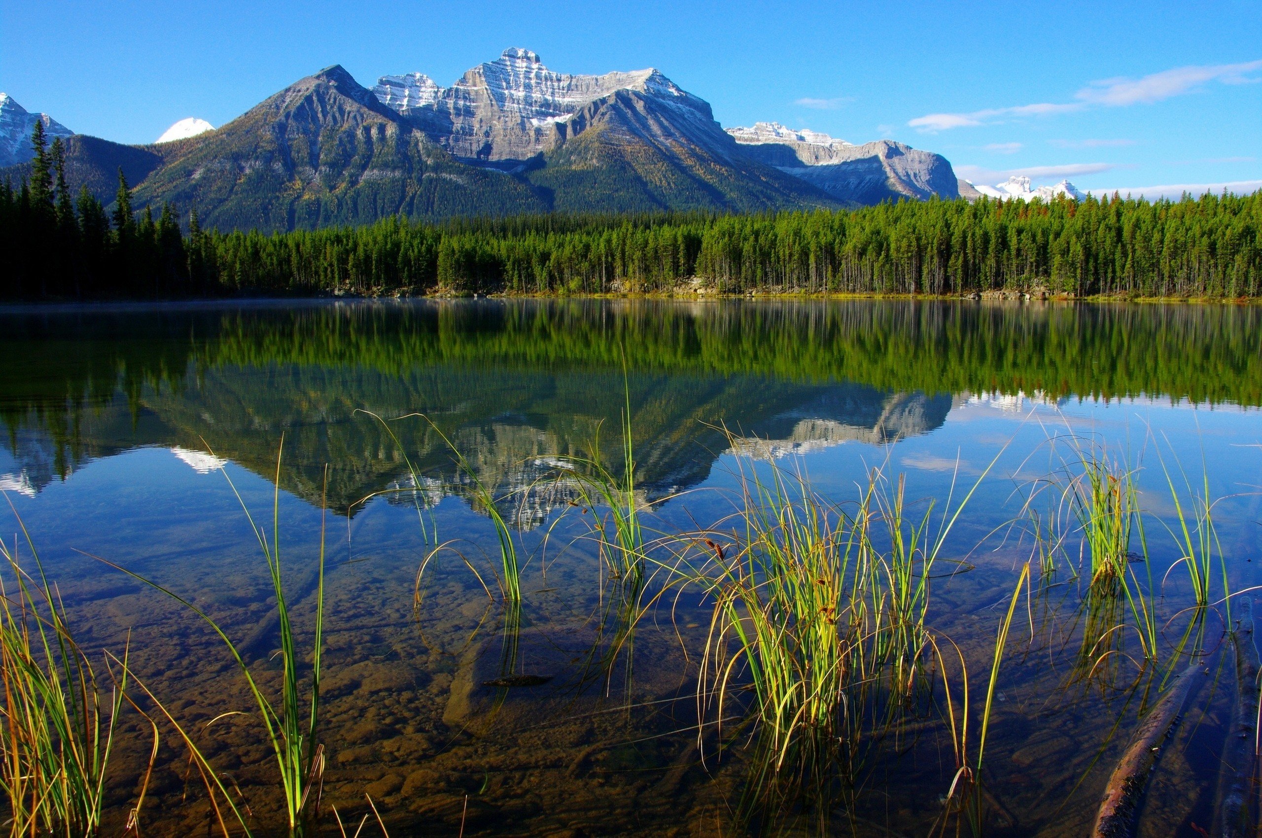 sky, Mountains, River, Water, Reflection, Forest, Grass, Landscape, Nature Wallpaper