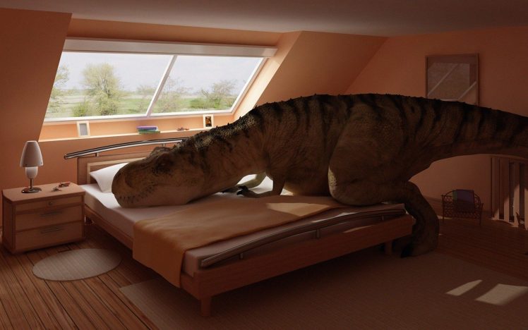 dinosaurs, Bed, Humor, House HD Wallpaper Desktop Background