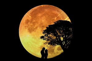lovers, Moon, Trees, Night, Silhouette, Digital art