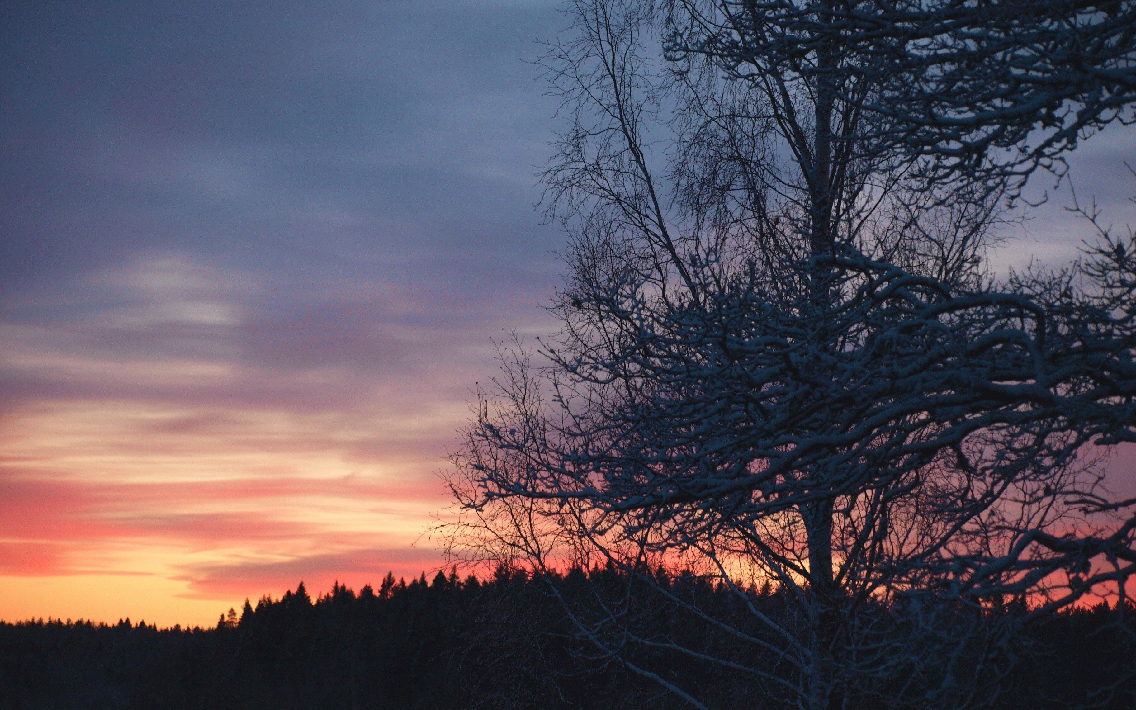 nature, Landscape, Snow, Sunset Wallpaper