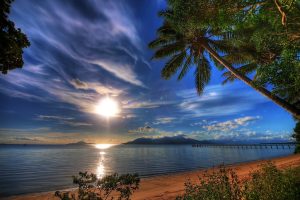 sunset, Sea, Reflection, Shore, Plants, Sky, Tropics, Nature