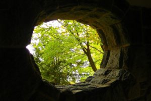 wall, Hole, Trees, Leaves, Daylight