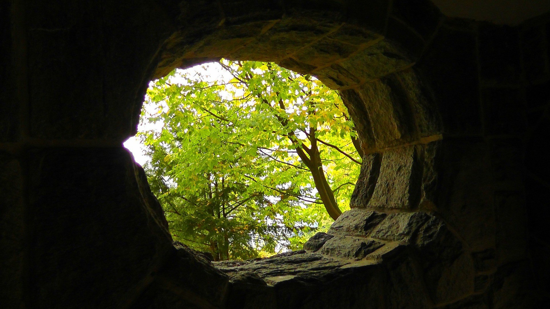 wall, Hole, Trees, Leaves, Daylight Wallpaper