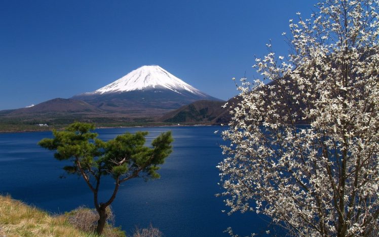 sky, Mount Fuji, Sea, Trees, Blossoms, Landscape, Retouching, Japan, Spring HD Wallpaper Desktop Background