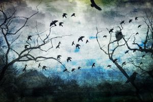 birds, Nature, Digital art, Drawing, Trees, Clouds, Crow