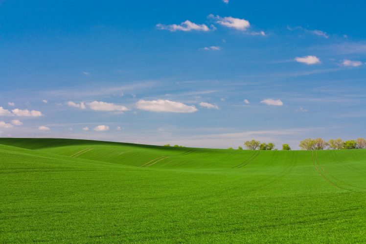 green, Grass, Sky, Clouds, Nature, Landscape HD Wallpaper Desktop Background