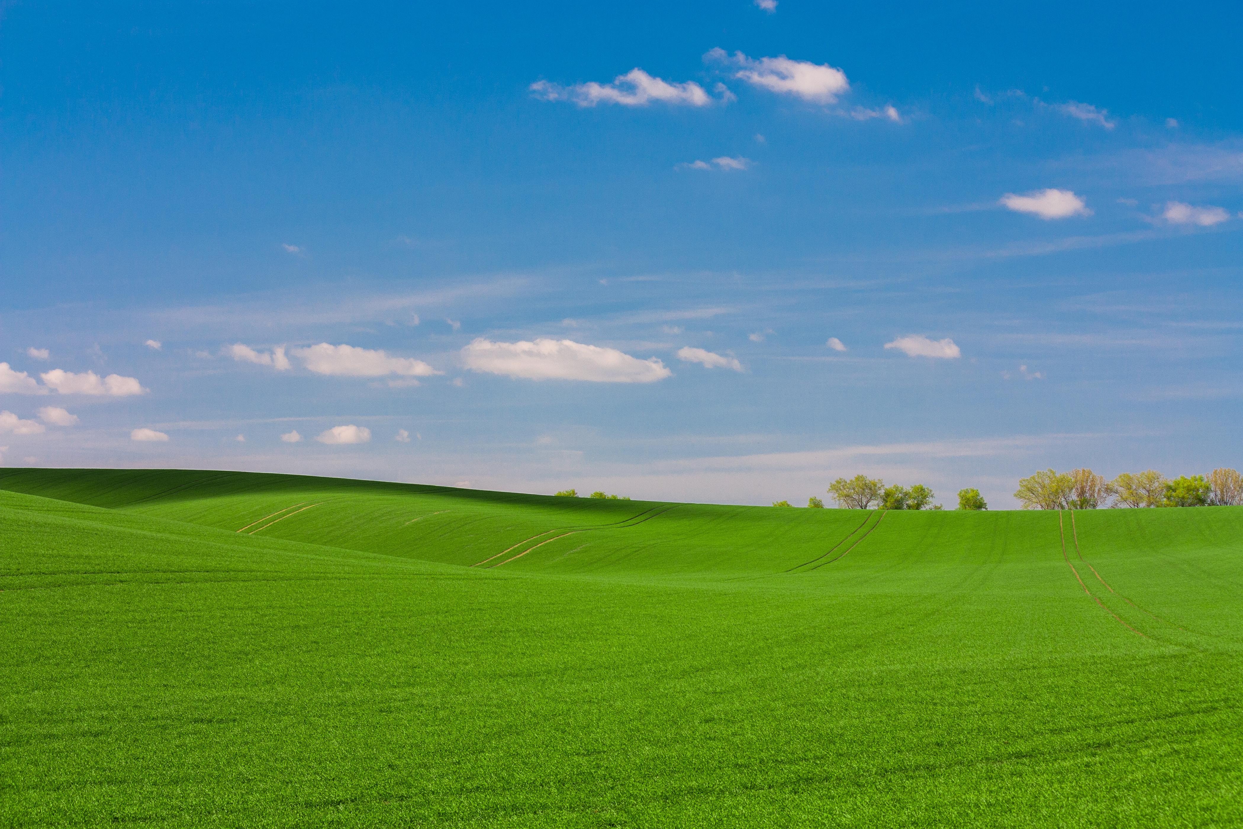 green, Grass, Sky, Clouds, Nature, Landscape Wallpapers HD / Desktop