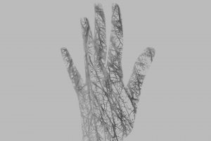 hands, Fingers, Digital art, Double exposure, Trees, Branch, Simple background, Monochrome