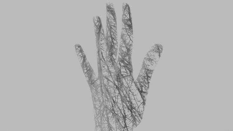 hands, Fingers, Digital art, Double exposure, Trees, Branch, Simple background, Monochrome HD Wallpaper Desktop Background