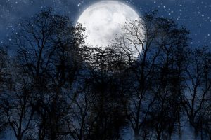 night, Moon, Stars, Trees, Silhouette, Digital art