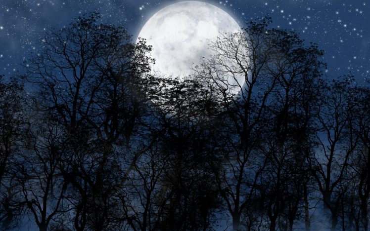 night, Moon, Stars, Trees, Silhouette, Digital art